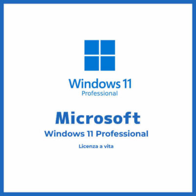 Windows 11 Pro